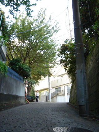DSC09053.JPG
