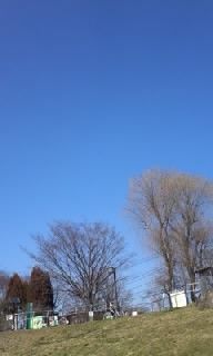 110305_1408_010001