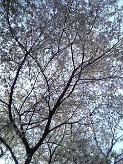 05-04-10_15-35.jpg