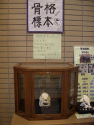DSCN2039_ORI.jpg