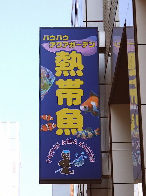a03555fa.jpg