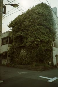 080404_LOMOfilm100_LCA32.jpg