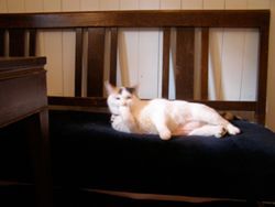 maru03.JPG