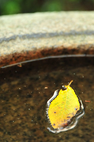 20101107_nikotama_goto_00.JPG
