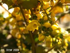080308-01.jpg