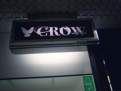 crow01