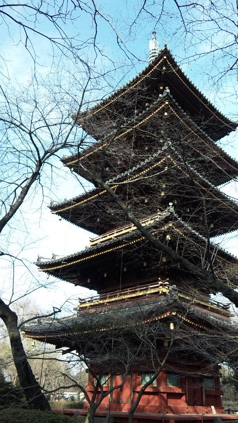 ueno-zoo-naiya (11)