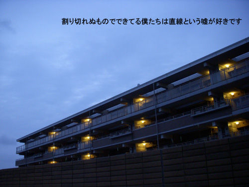 DSCN2918_ORIのコピー.jpg