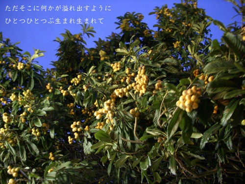 DSCN2930_ORI.jpg