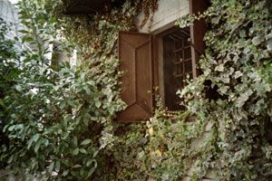 080404_LOMOfilm100_LCA34.jpg