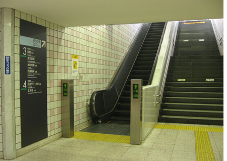 4876_tika2.jpg