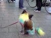 まあ僕は