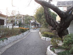 kouenji_20100107_07.jpg