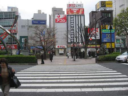2870_lunch_higasi.jpg