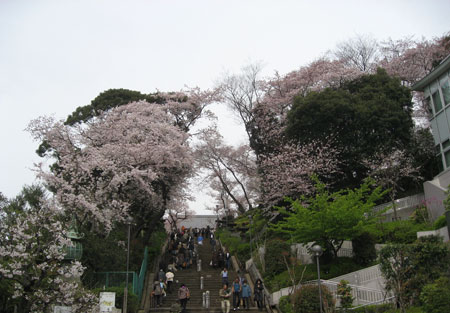2950_lunch_honmon1.jpg