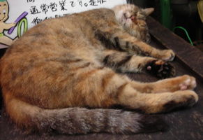 09july2908.jpg