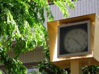 09apr2638.jpg
