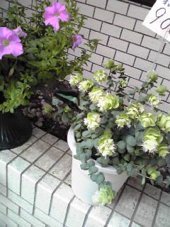 Image012.jpg