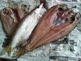 tukiji20080524.jpg