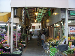 DSCN2717_ori.jpg