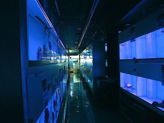 f3b95607.jpg