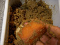 DSCN2315_ORI.jpg