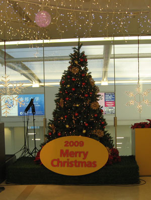 4255_lunch_tree.jpg