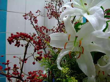 20091021_tamagawayu_02.JPG