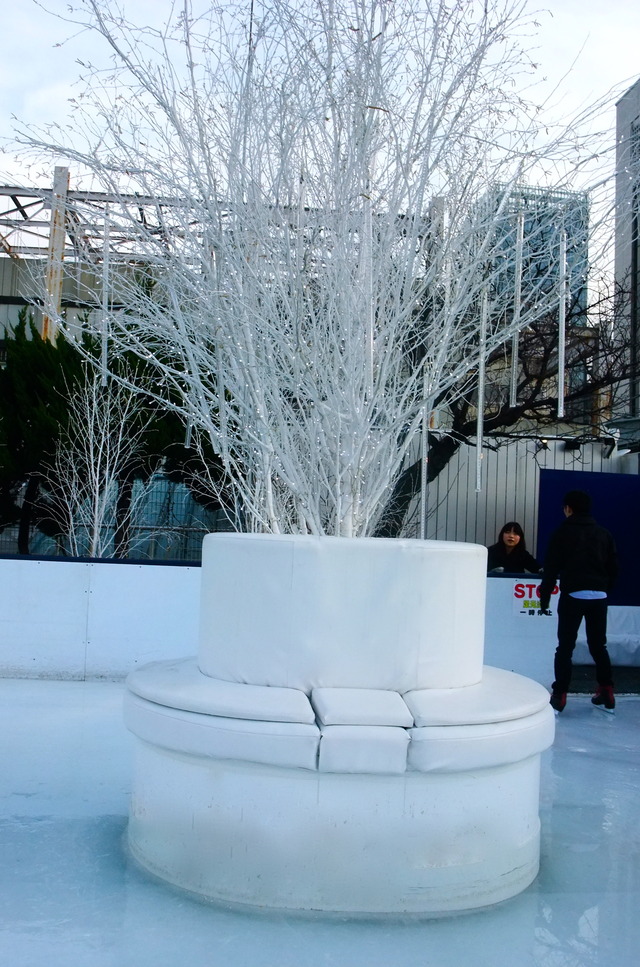 DSCF0008