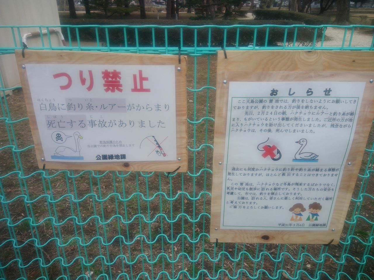 釣り禁止 ひたちなか市 大島公園 茨城ソルトウォーターフィッシングもろもろ 釣り禁止 ひたちなか市 大島公園 茨城ソルトウォーターフィッシングもろもろ