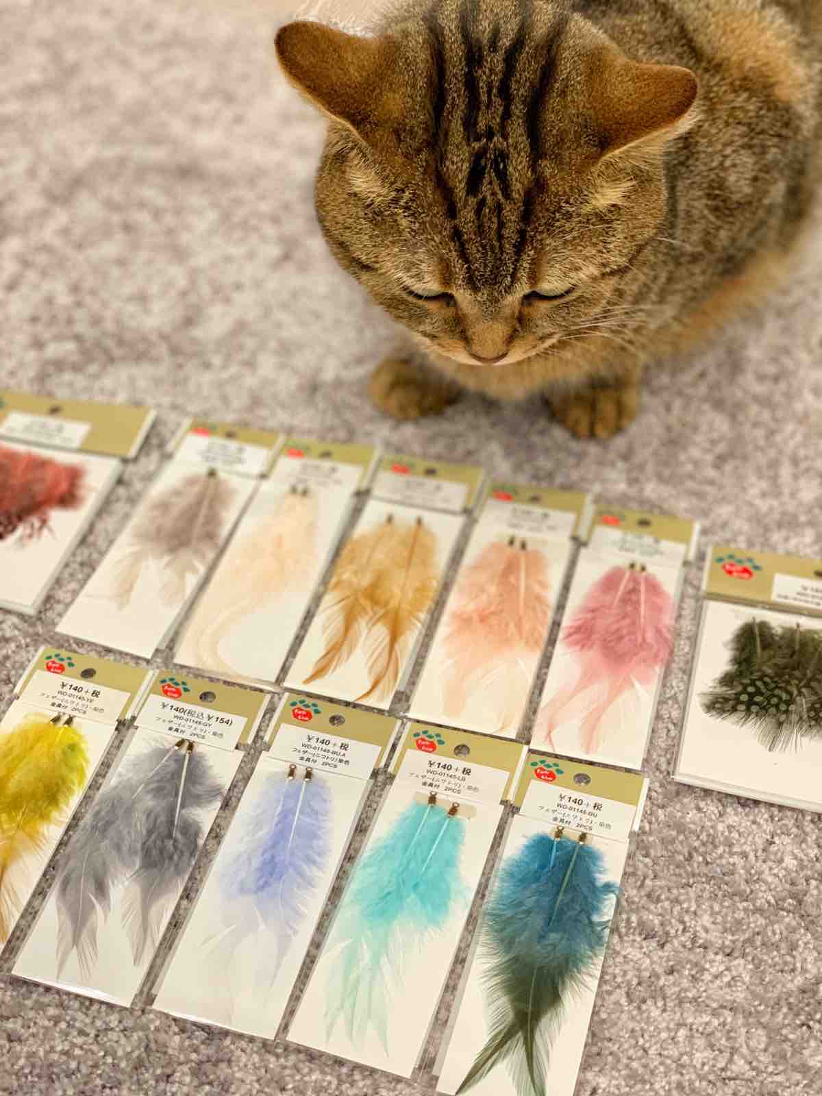 誕生日プレゼント おじさんとボクとねこ 誕生日プレゼント おじさんとボクとねこ
