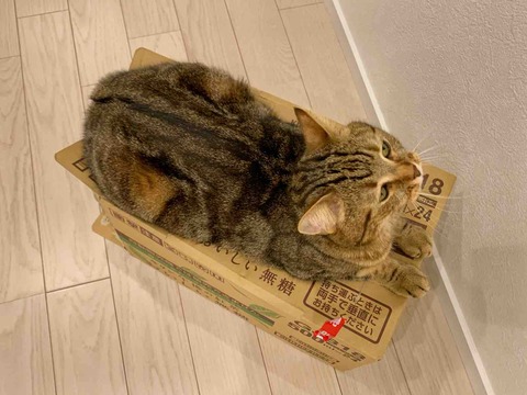 FullSizeRender