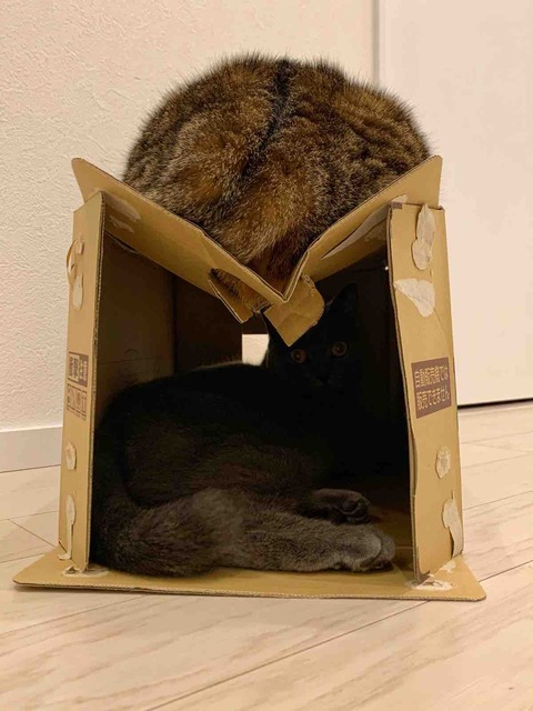 FullSizeRender