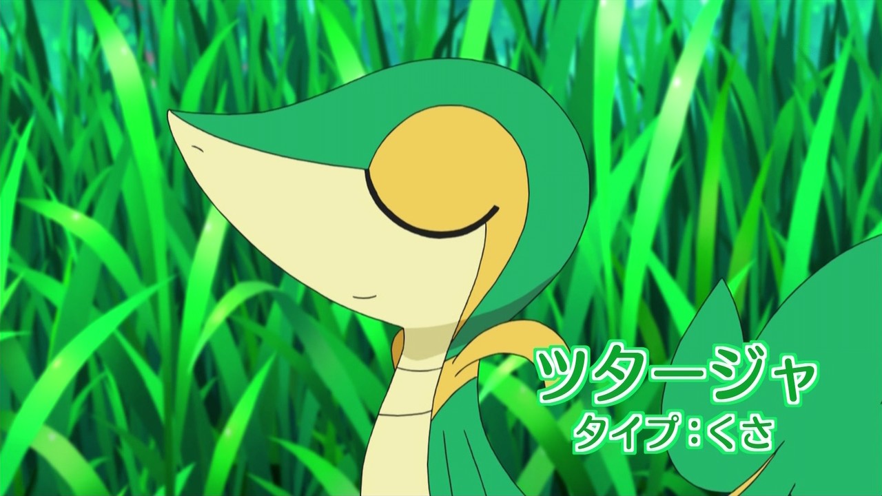レッド ツタージャ 俺ツタージャがいい エレファント速報 Ssまとめブログ レッド ツタージャ 俺ツタージャがいい エレファント速報 Ssまとめブログ