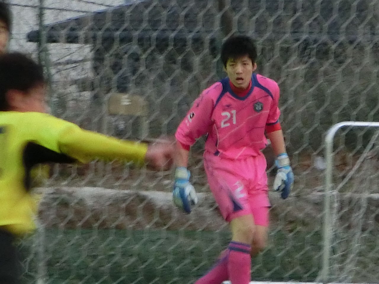 19 柏レイソルa A Tor 湘南ベルマーレu 15平塚 平凡日記 19 柏レイソルa A Tor 湘南ベルマーレu 15平塚 平凡日記