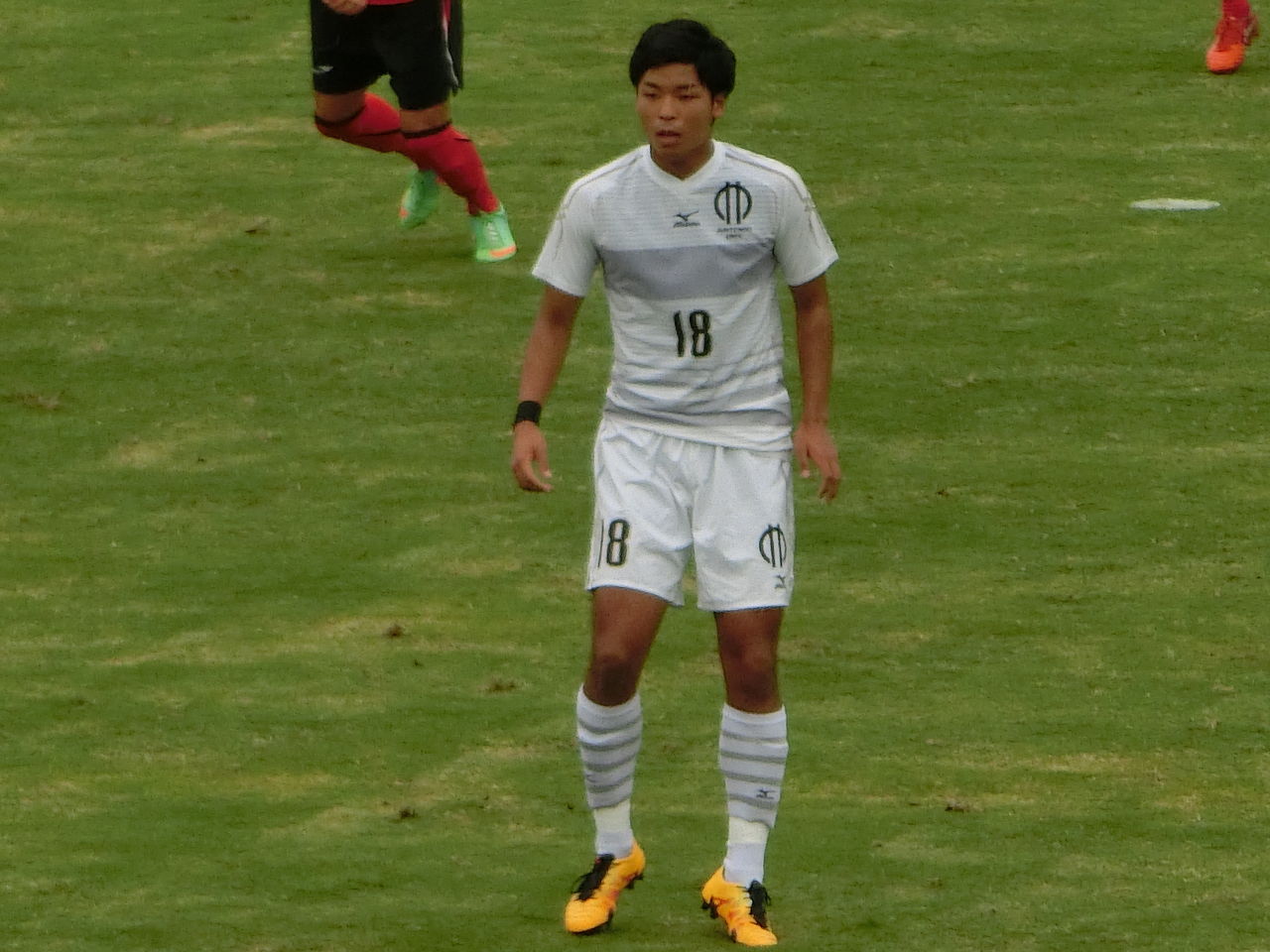 平凡日記 16年サッカー観戦記 平凡日記 16年サッカー観戦記