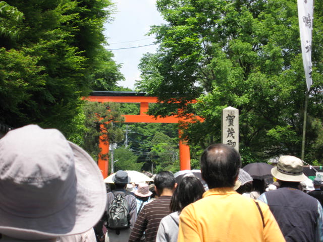 ���п���