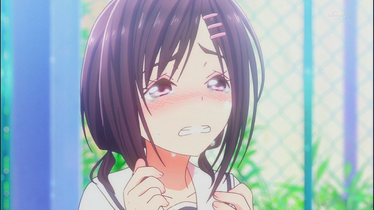 今日は なるの誕生日 ハナヤマタの近状や私的ニュース 前作などを凝縮して紹介する日 こんなものがあってだな