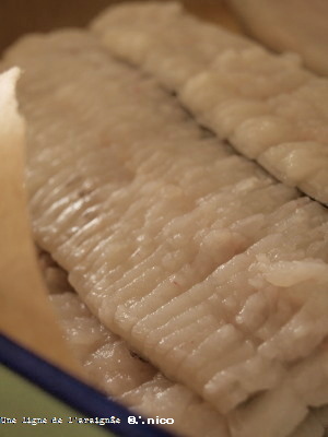 P8256904cb.jpg