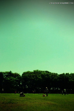 FxCam_1336183594626a.jpg