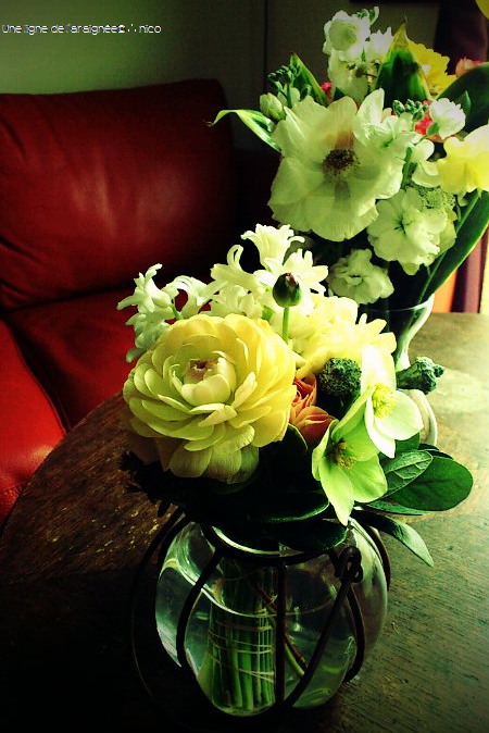 FxCam_1326587820071cb.jpg