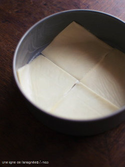 P5294514cbbp.jpg
