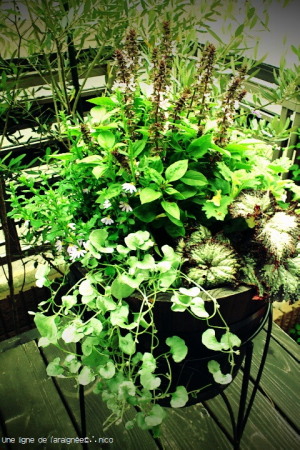 FxCam_1339457895731cbb.jpg