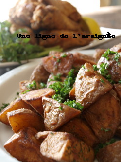 P1063936cb.jpg