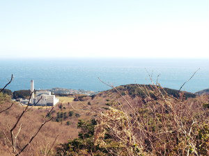 P3212792cp.jpg