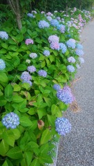 IMG_20190606_062220