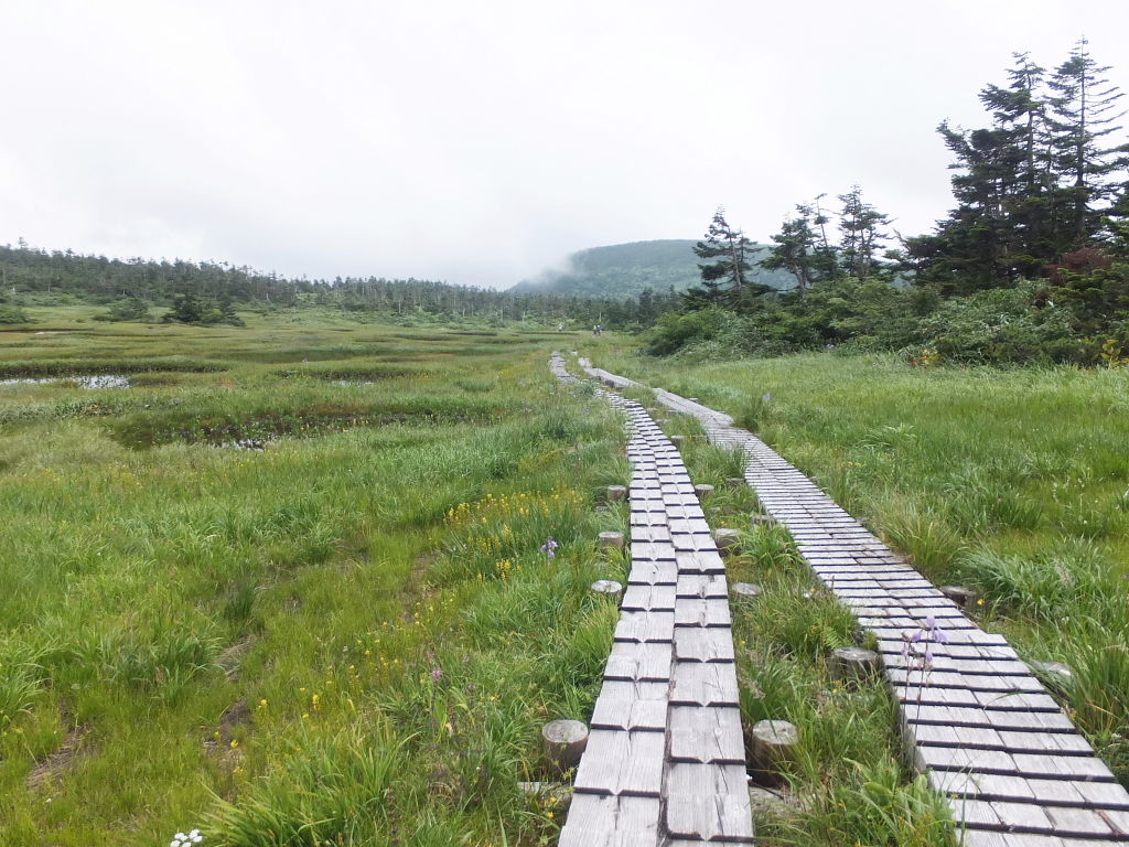 千沼ヶ原 乳頭山 気まぐれ山歩道 千沼ヶ原 乳頭山 気まぐれ山歩道