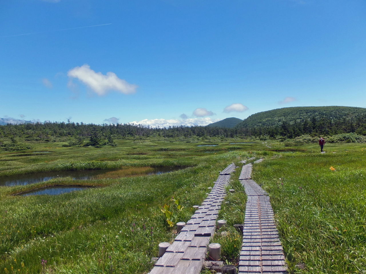 千沼ヶ原 気まぐれ山歩道 千沼ヶ原 気まぐれ山歩道