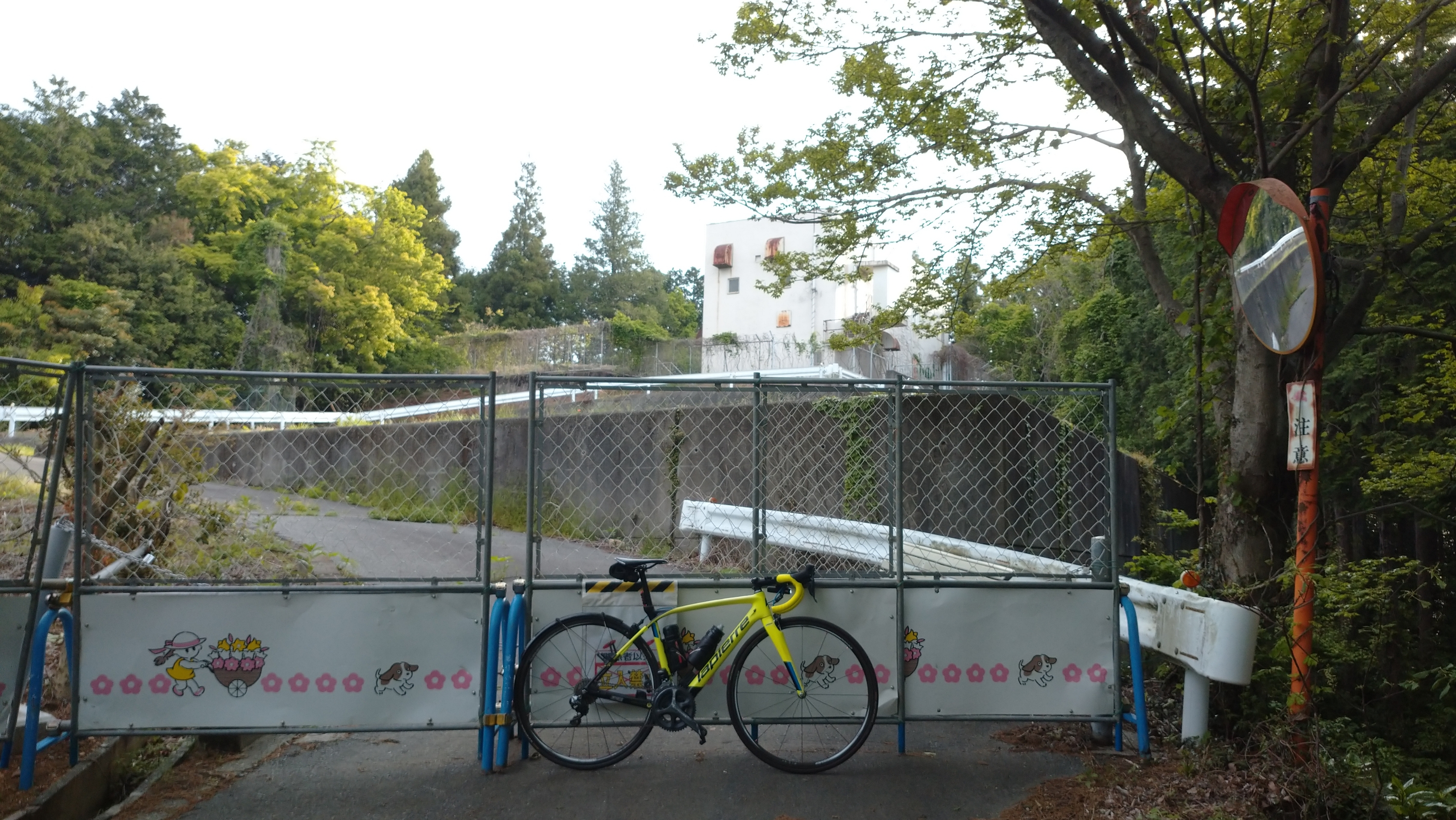 4km 自転車で