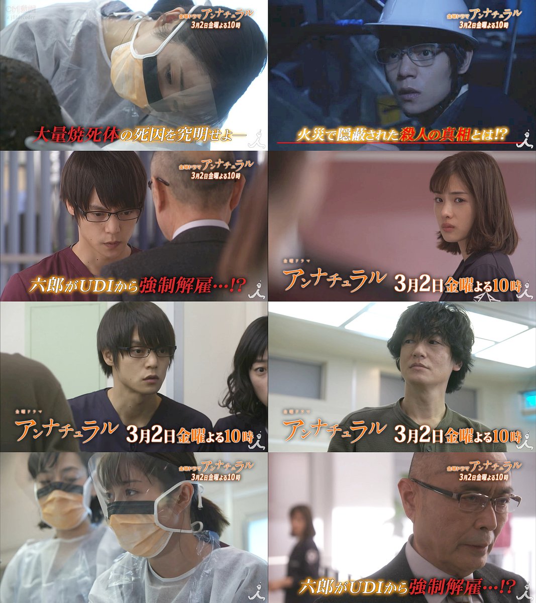 Raraのblog のんびりゆっくり かめさん日記